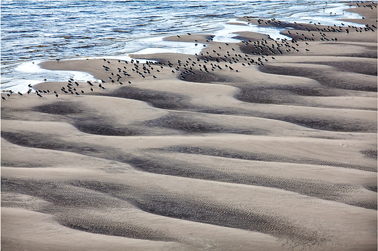 23.  Borth Y Gest,    Snowdonia,   Wales