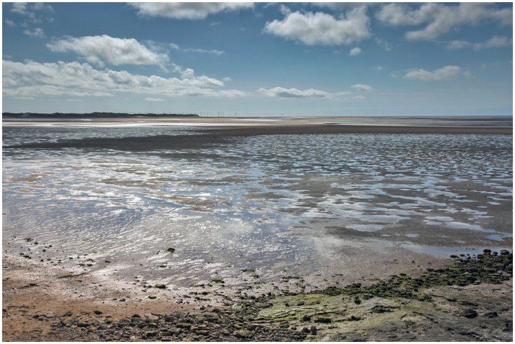 36.  Askam,  low tide
