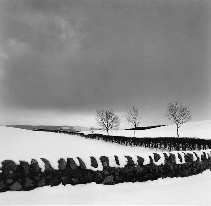 2.  New Snow at Middleton,  Northumberland