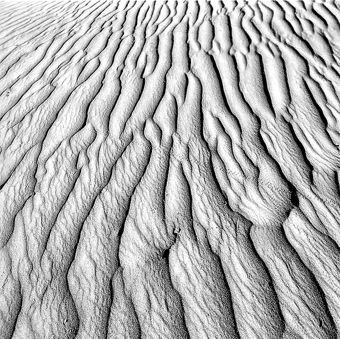 21.  Sand ripples, Death Valley,  California