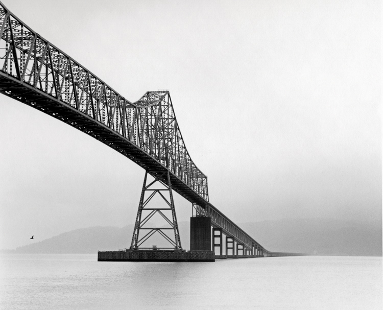 22.  Astoria Bridge with one bird,  Oregon