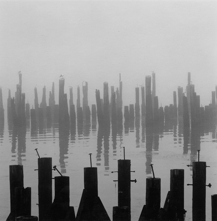 41.  Jetty Poles,  Eureka,   California