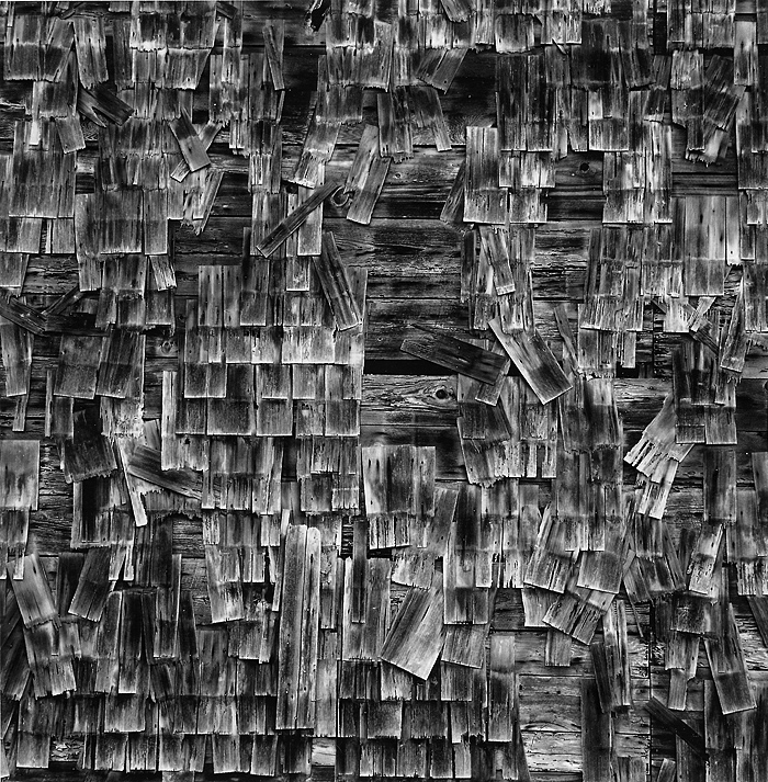 43.  Shingles, Mendocino, California
