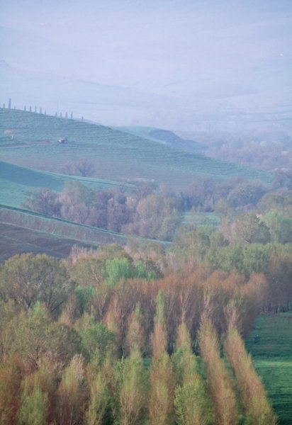 22. On the road to Pienza