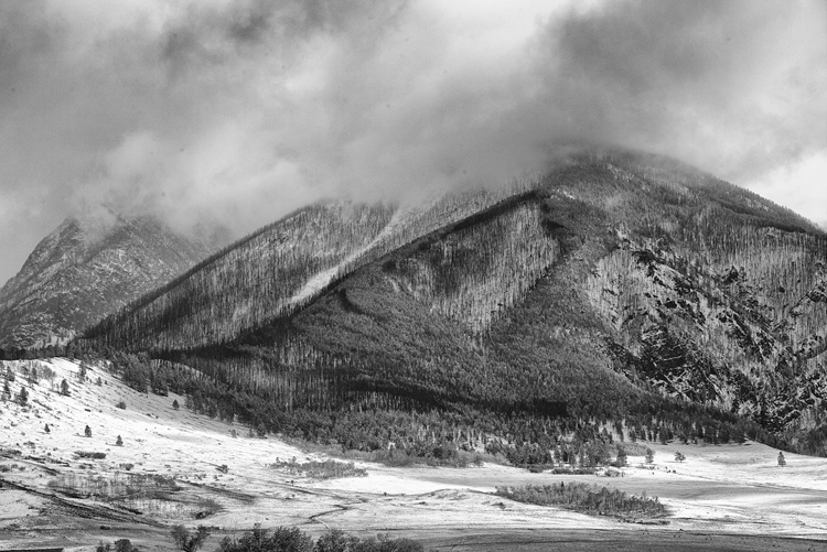1.  Pine Creek,  Montana