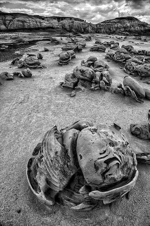 14.  Bisti Badlands,   New Mexico