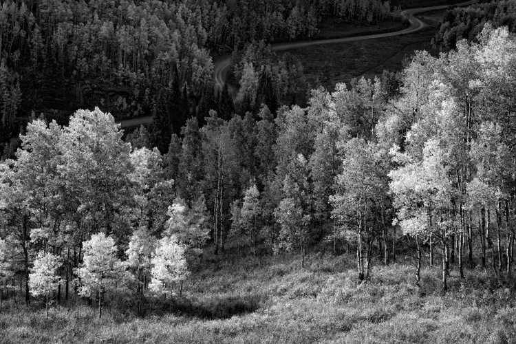 15.   Ripple Creek Pass,   Colorado
