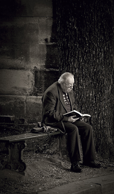 18.  The Reader,  Pere Lachaise,  Paris