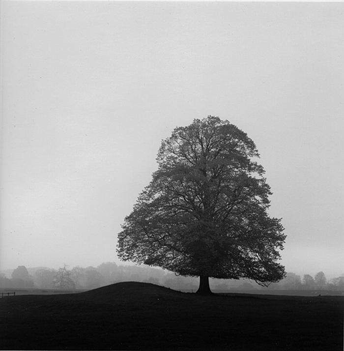 2.  near Leyburn,   Yorkshire