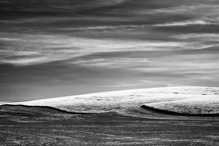 20.   Near Washtucna,   Washington