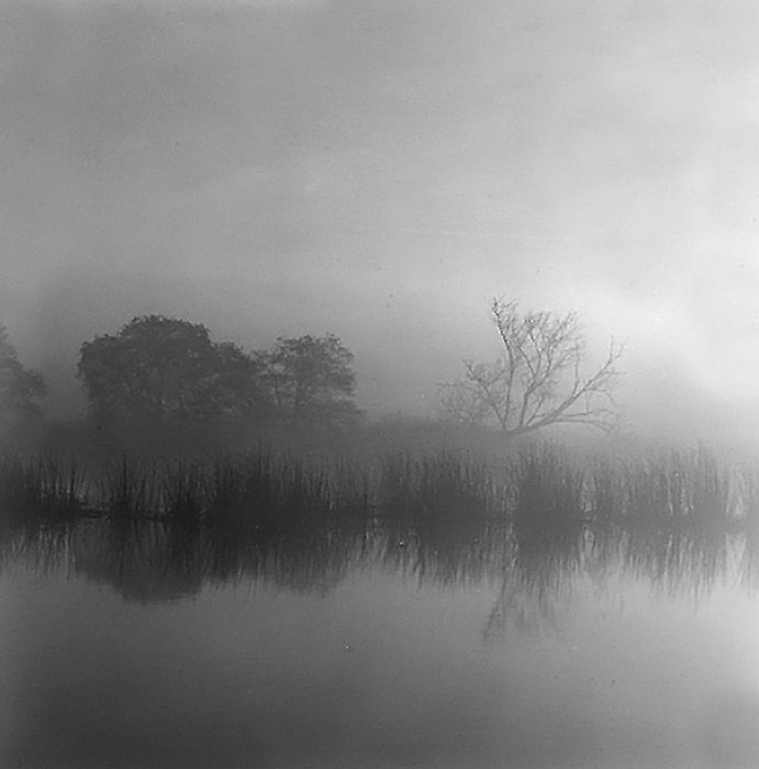 29.  San Joaquin Delta,      California