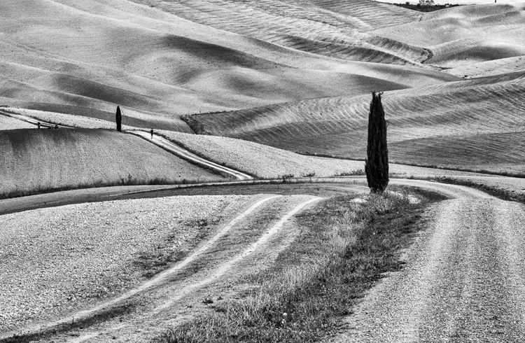 37.  San Quirico d'Orcia,    Tuscany