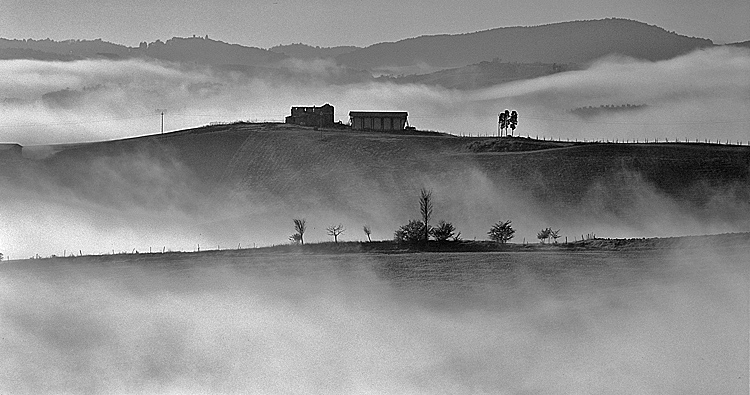44.  San Giovanni D'Asso,   Tuscany