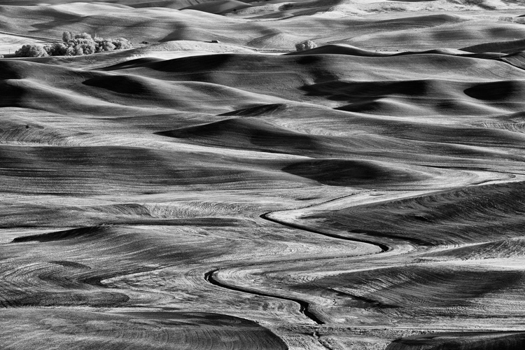 9.   Palouse from Steptoe Butte,   Washington