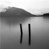 13.  Posts,  Lake Wanaka,  New Zealand