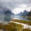28.  Milford Sound from shoreline.