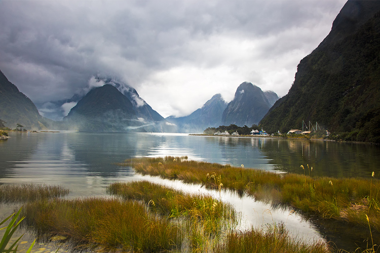28.  Milford Sound from shoreline.