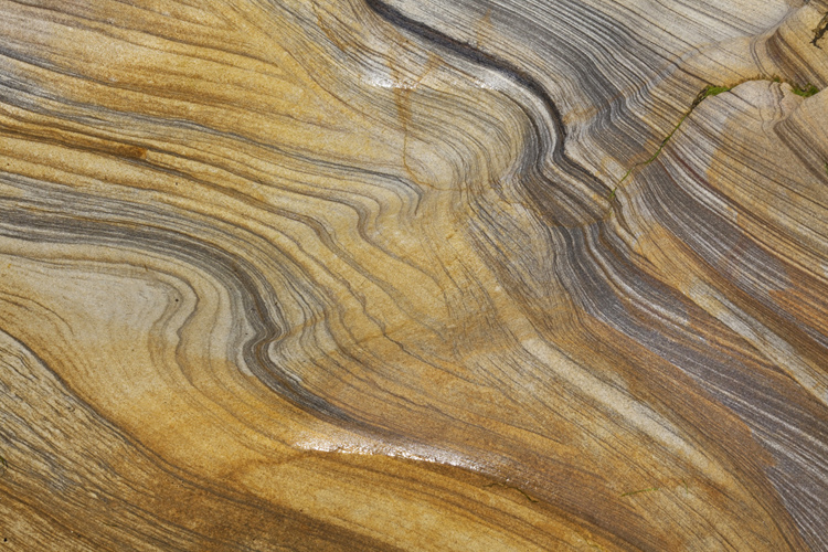 1.  Spittal,    Northumberland Coast