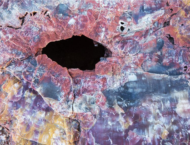 2.  Petrified Forest, Arizona