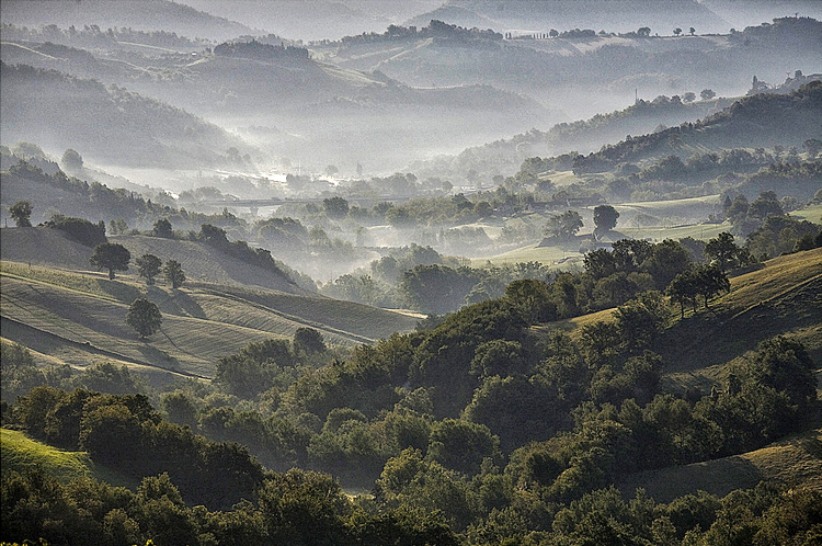 43.  Urbino,   Le Marche,   Italy