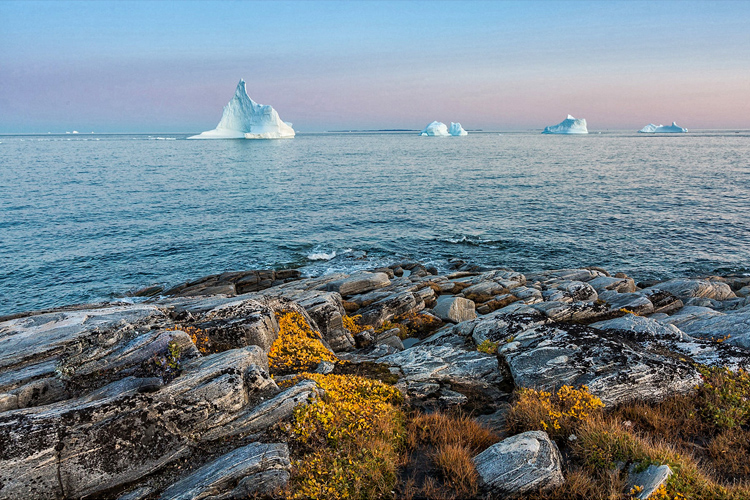 45.  Disko Island,  Greenland