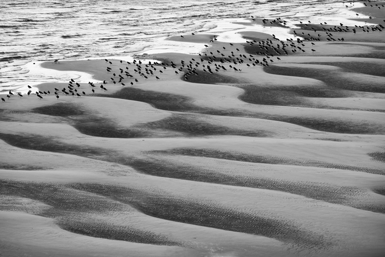 30. Borth Y Gest,  Porthmadog,   Wales