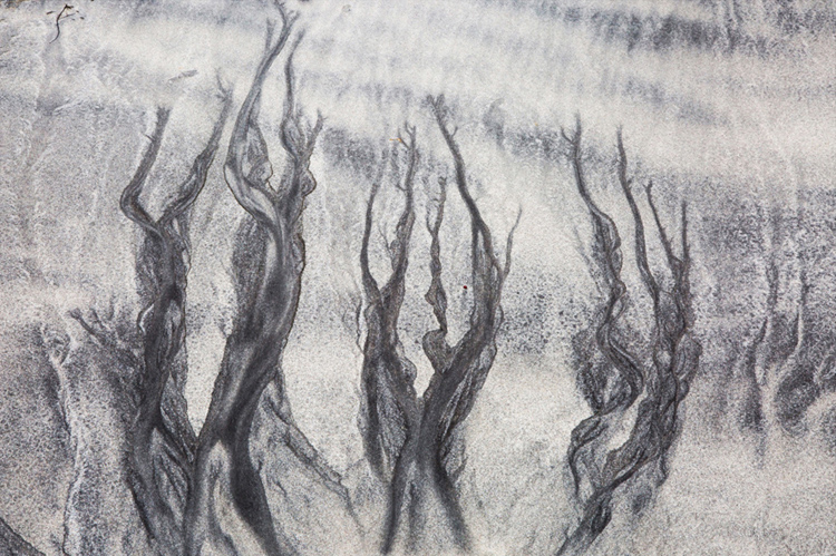 5.   Sand Ballet,  Lofotens,  Norway