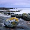 15.  Erratic, Corrie Beach, Isle of Arran