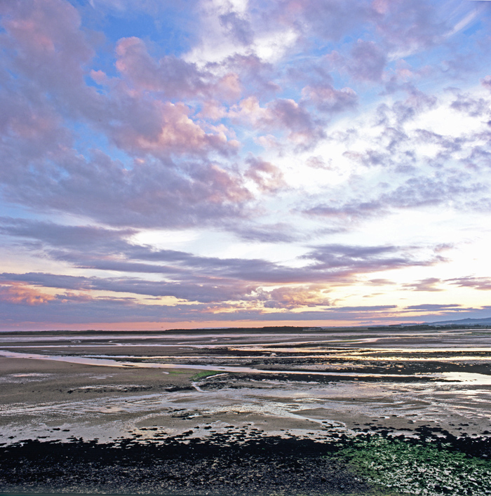 26   Budle Bay  Northumberland