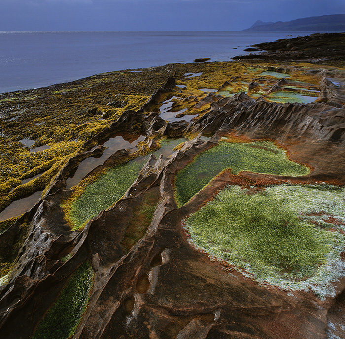 32.    Fins and pools, Corrie Beach, Arran