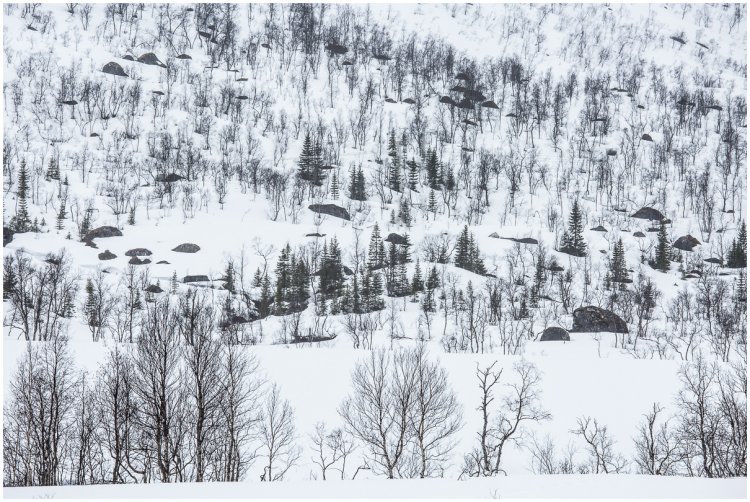 33.   Gullesfjorden,   Norway