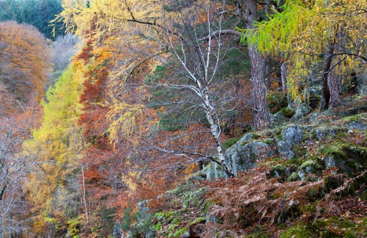 42. Glen Lyon