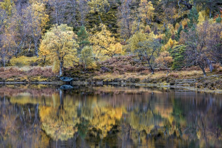 45.  Loch Coulin