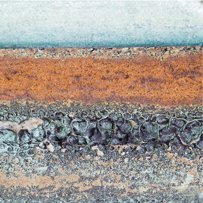 18.  The tide line, near Crackington Haven, Cornwall