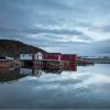 21.  Back Harbour, Twillingate,  Newfoundland