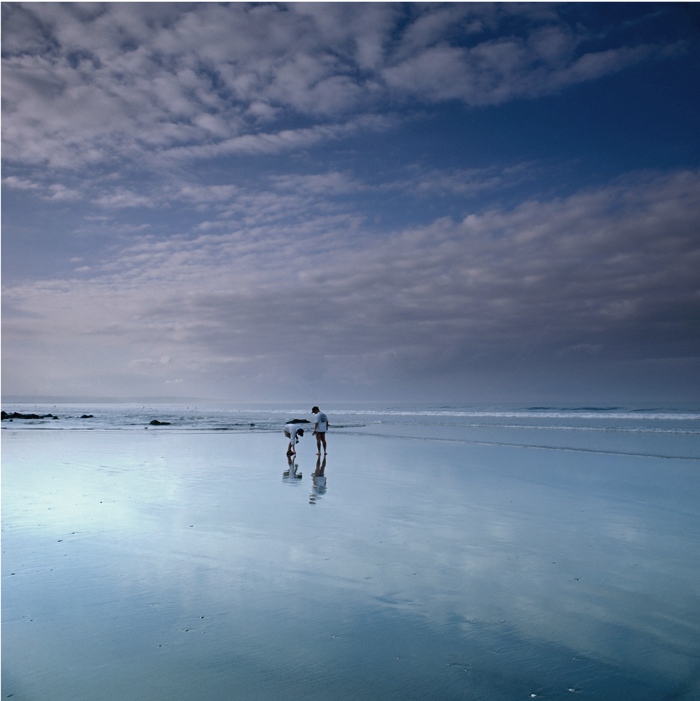 44.  Shell Seekers,  Coronado,  California