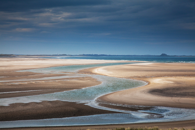 1.  Budle Bay,   low tide