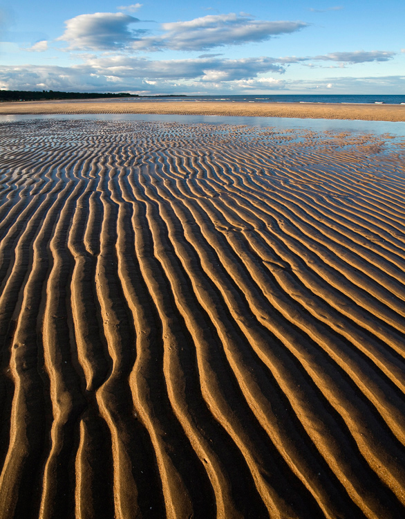 28.  Beach south of Alnmouth