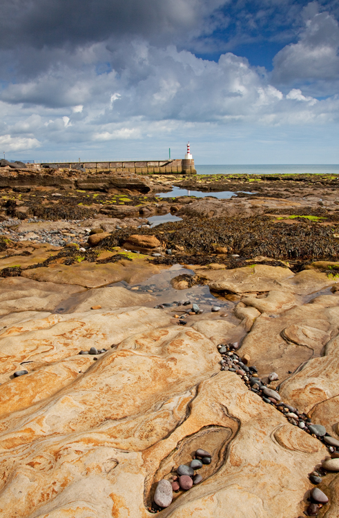33.  Amble,  foreshore