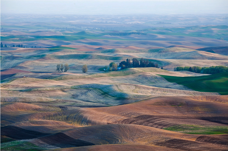 32   Palouse, Washington