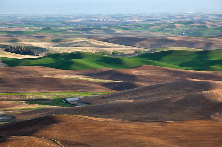 36   Palouse, Washington