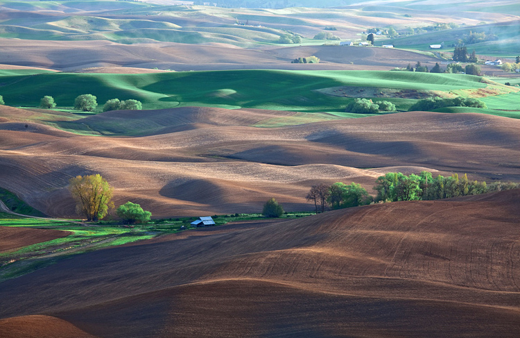 33   Palouse, Washington