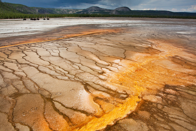 02  Grand Prismatic Spring