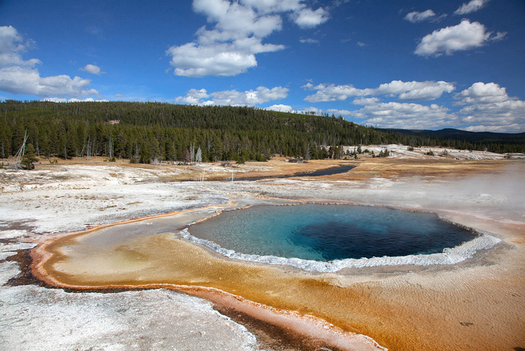 38   Crested Pool