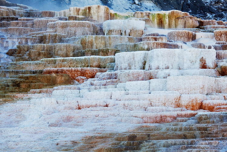 40   Mammoth Hot spring, Minerva Terraces